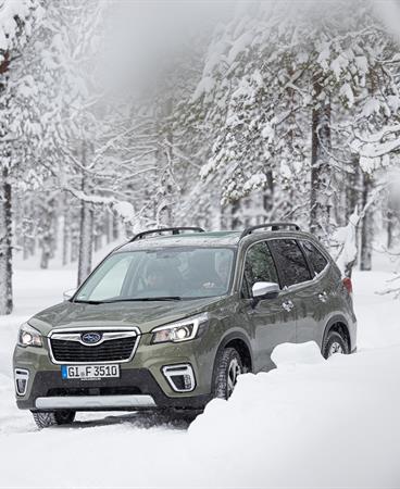 SUBARU-FORESTER-15